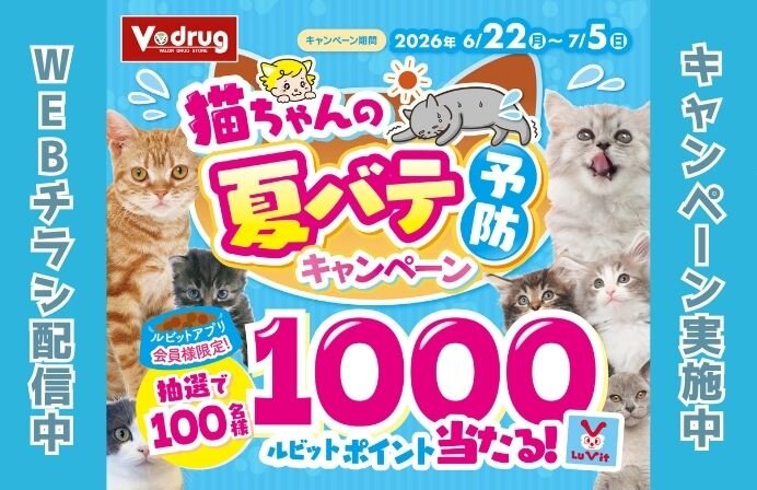 抽選でルビットポイントが当たる！！猫ちゃんの夏バテ予防キャンペーン！