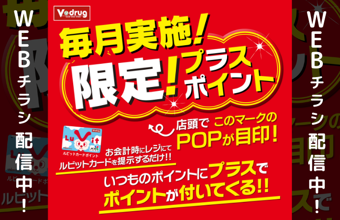 【WEBチラシ配信中】毎月実施している
