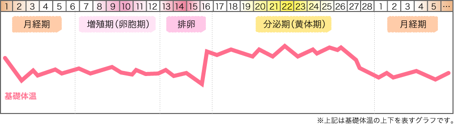 生理 周期 と は