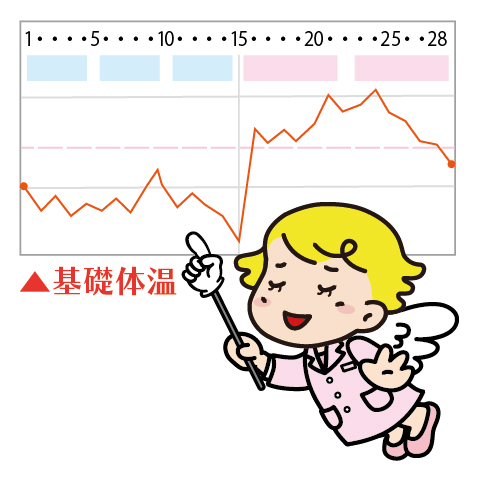 生理周期 長い場合と短い場合の原因 くすりんの豆知識 V ドラッグ