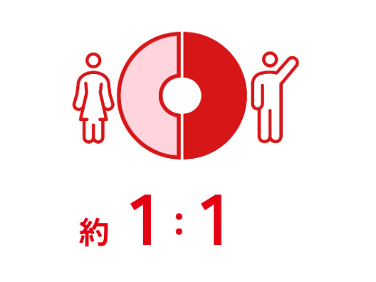 約1：1