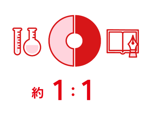 約1：1