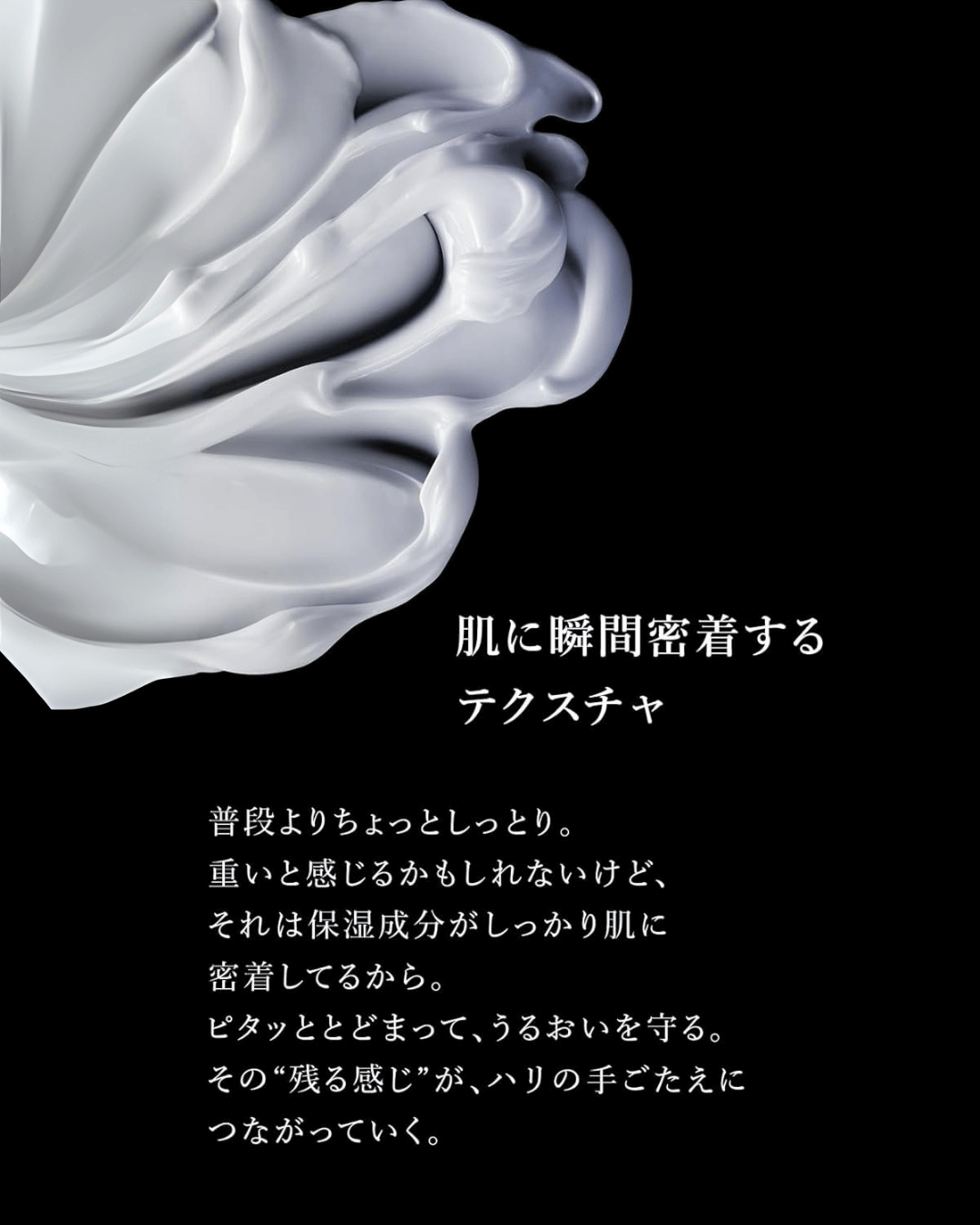 Nオーガニックキャンペーン画像2